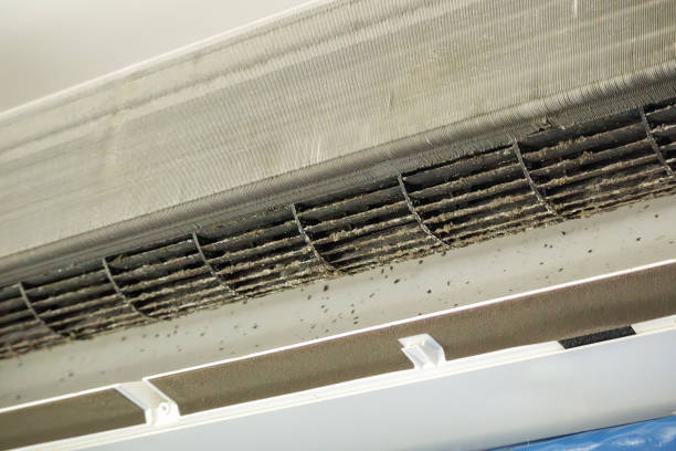 Best Ductwork Cleaning Services  in Charenton, LA